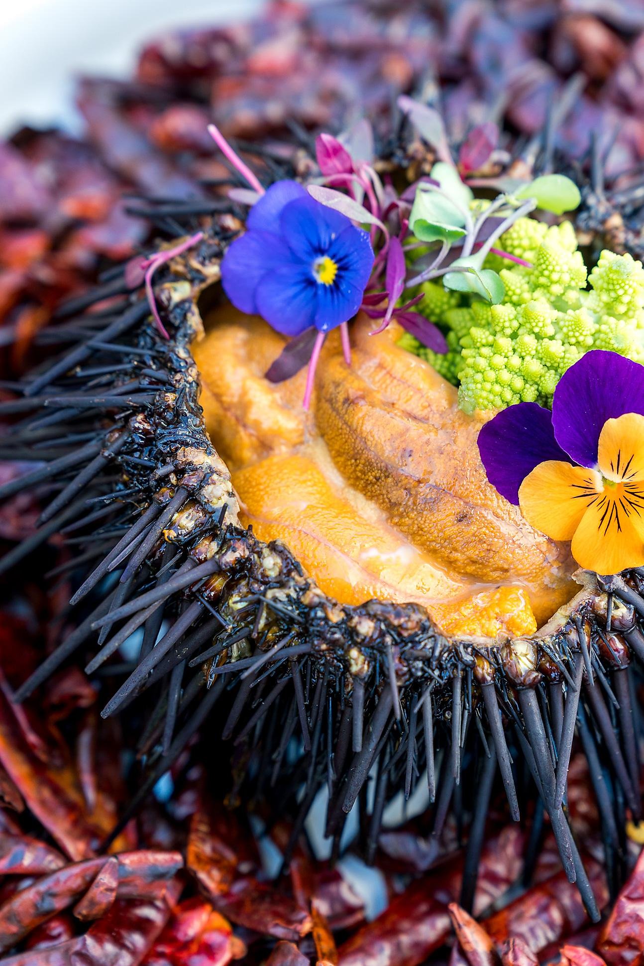 Local uni divers share favorite Santa Barbara seafood spots, image size:1294x1940