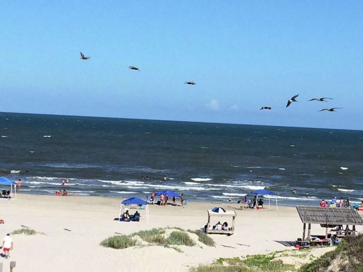 padre island national seashore water temperature