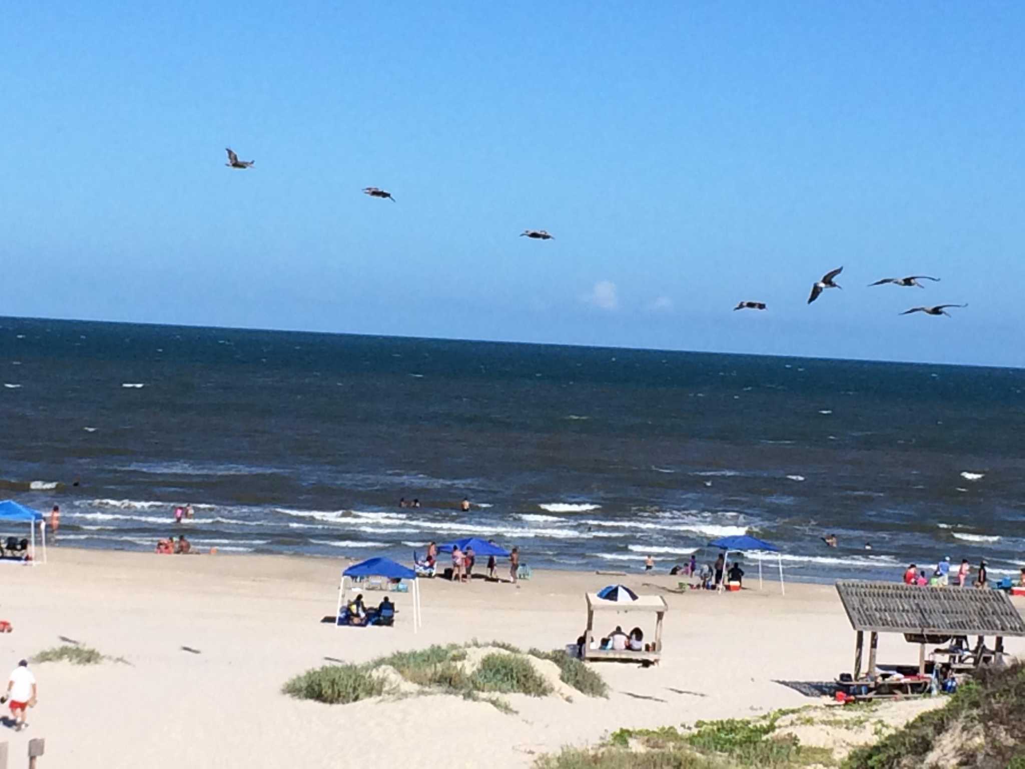 Padre Island National Seashore has reopened, but there are some changes