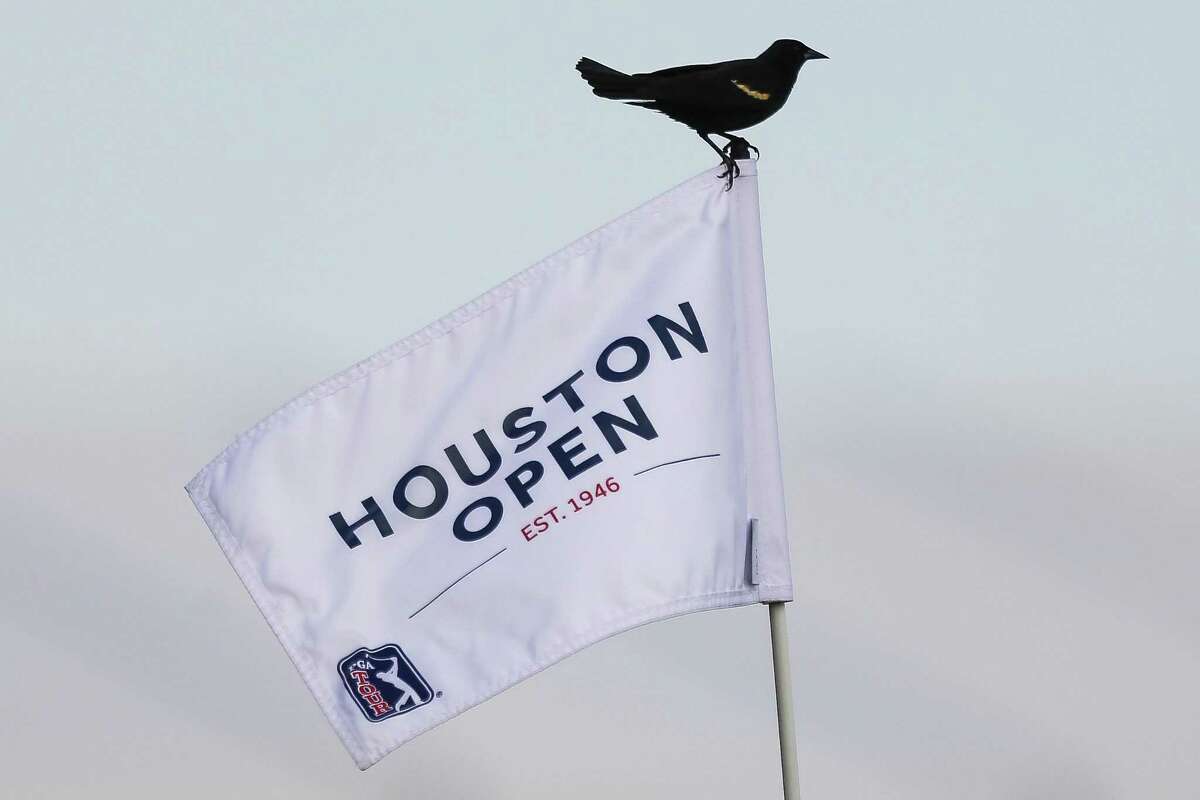 A red wing blackbird sits on the flag of the 18th hole during the Championship Round of the Houston Open Sunday, April 1, 2018 in Humble. (Michael Ciaglo / Houston Chronicle)
