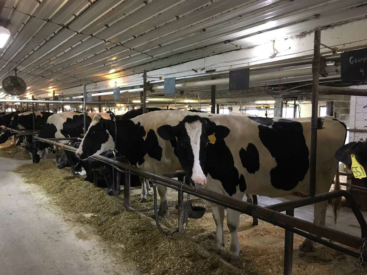 Ag commissioner touts state certification during dairy tour