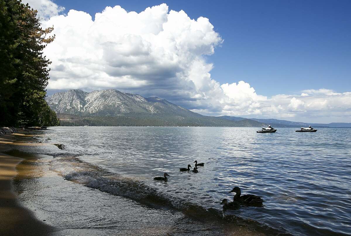 在这张2017年8月22日星期二的资料照片中，一群鸭子沿着南太浩湖岸边游泳，附近是加利福尼亚州南太浩湖第21届年度太浩湖峰会。加州选民可以通过一系列投票措施在2018年批准花费1.27亿美元用于太浩湖的项目。加州清洁水和安全公园法案将于6月5日进行初选投票，该法案将批准41亿美元的支出。耗资89亿美元的《供水和水质法案》计划在11月6日的选举中通过。(美联社图片/Rich Pedroncelli，档案)