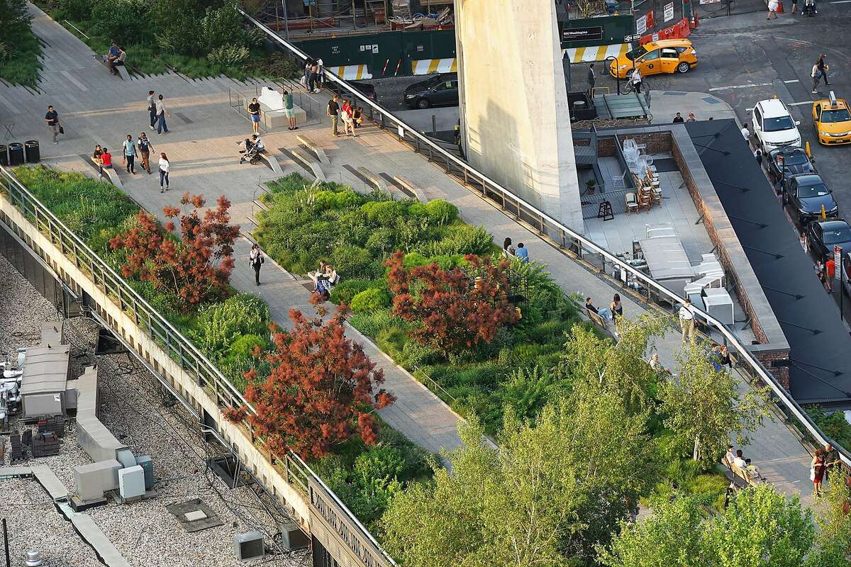 A view of the Washington Grasslands garden on the High Line, showing �Grace� smokebush in summer and the street below. From "Gardens of the High Line, Elevating the Nature of Modern Landscapes" by Piet Ouldof and Rick Darke