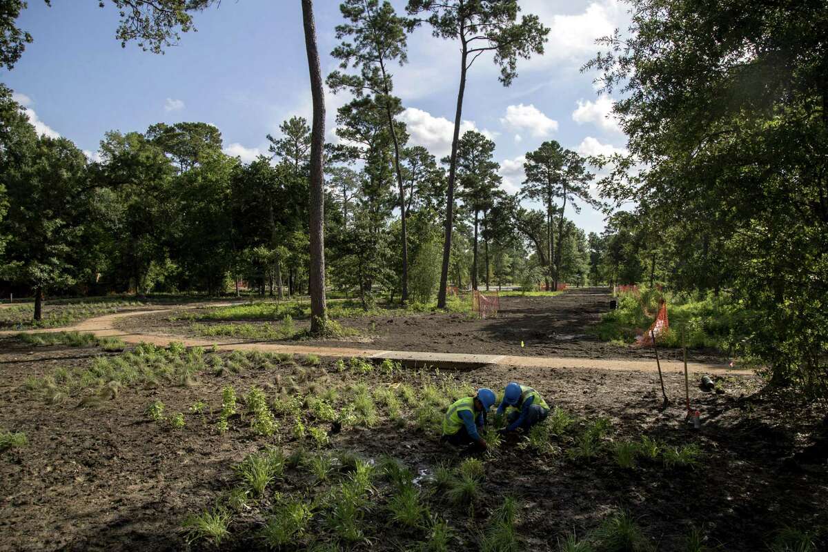 Jerry Cruz, left, and Abel Amezquita work in the restored savannah ecosystem, an example of a more open and sustainable habitat at the Houston Arboretum and Nature Center.