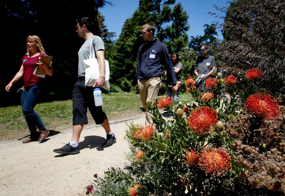 Sf Botanical Garden Digs Its Volunteers Who Get Hands Dirty Sfgate