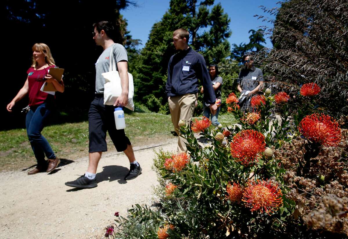 Volunteer services manager Chloe Wieland (left) leads a group of prospective volunteers on a tour of the botanical garden at Golden Gate Park in San Francisco, Calif. on Saturday, June 16, 2018.