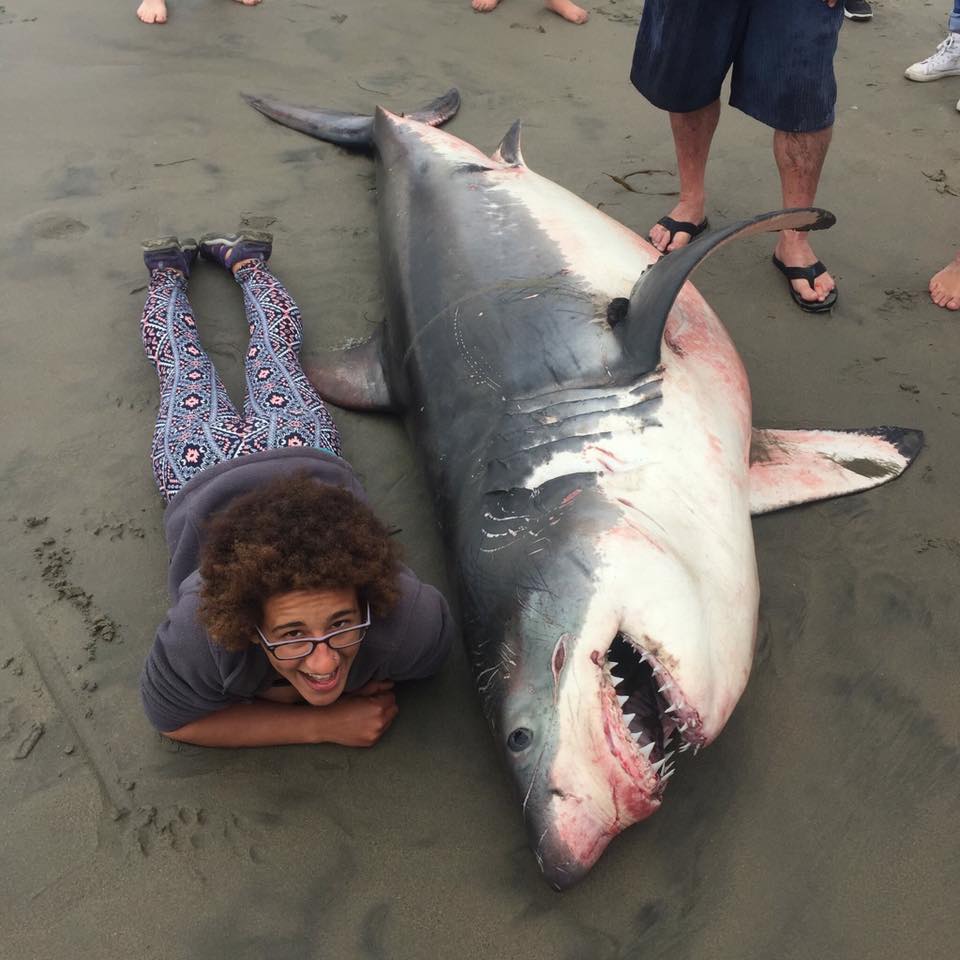 Marine Biologist Defends Friend For Posing With Dead Shark We Had Her Lie Next To It For Scale 9707