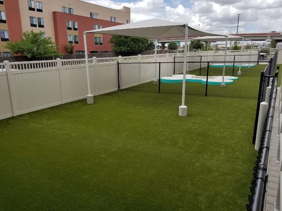 Luxury pet hotel opening in San Antonio at the end of the month San Antonio ExpressNews