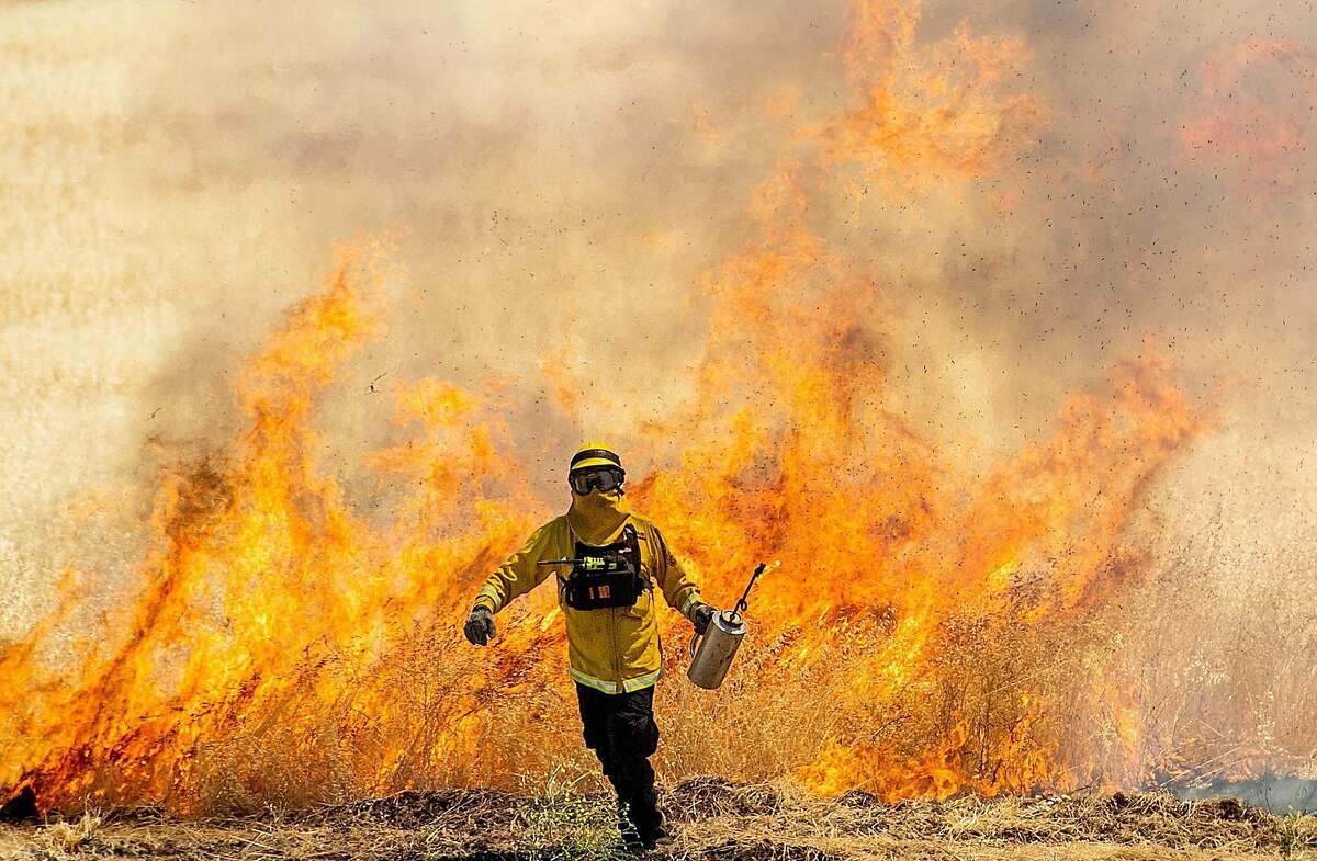 A firefighter practices lighting backfires, a technique used to stop wildfire from spreading, during training exercises on Tuesday, June 19, 2018, in Antioch, Calif. The Contra Costa Fire Protection District conducted the training.