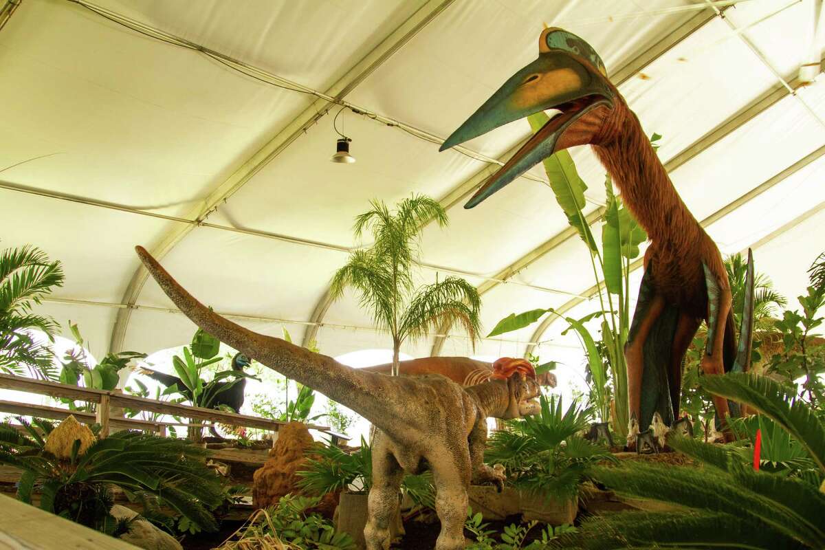 dinos alive of dino expo