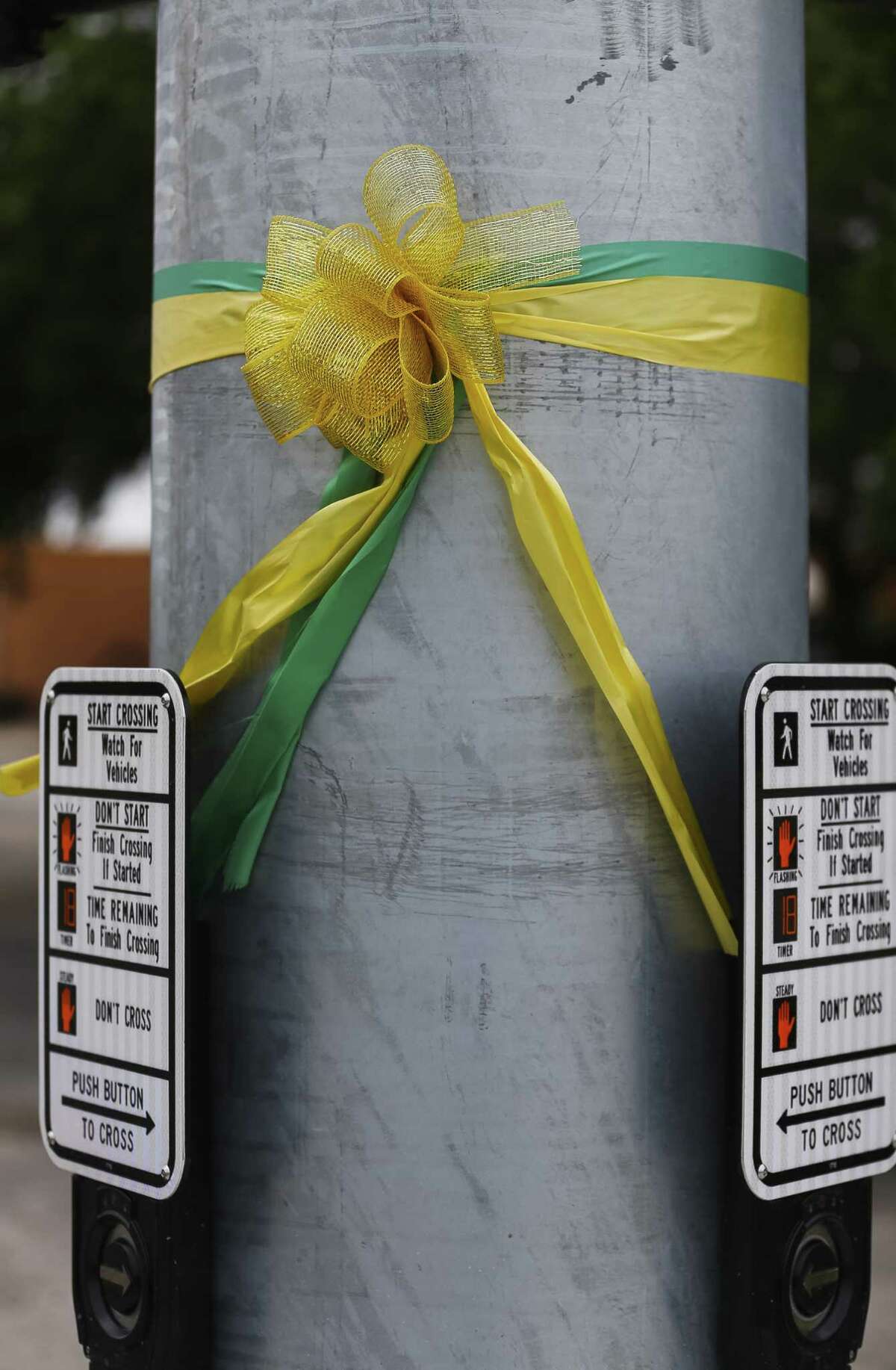 Green and yellow ribbons are tied to posts and poles along Highway 6, Monday, June 18, 2018 in Santa Fe. ( Mark Mulligan / Houston Chronicle )