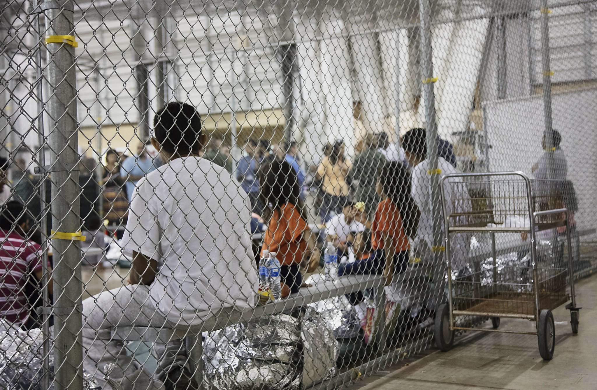 Reunification Of Separated Immigration Families Is Not Enough — Offer U 