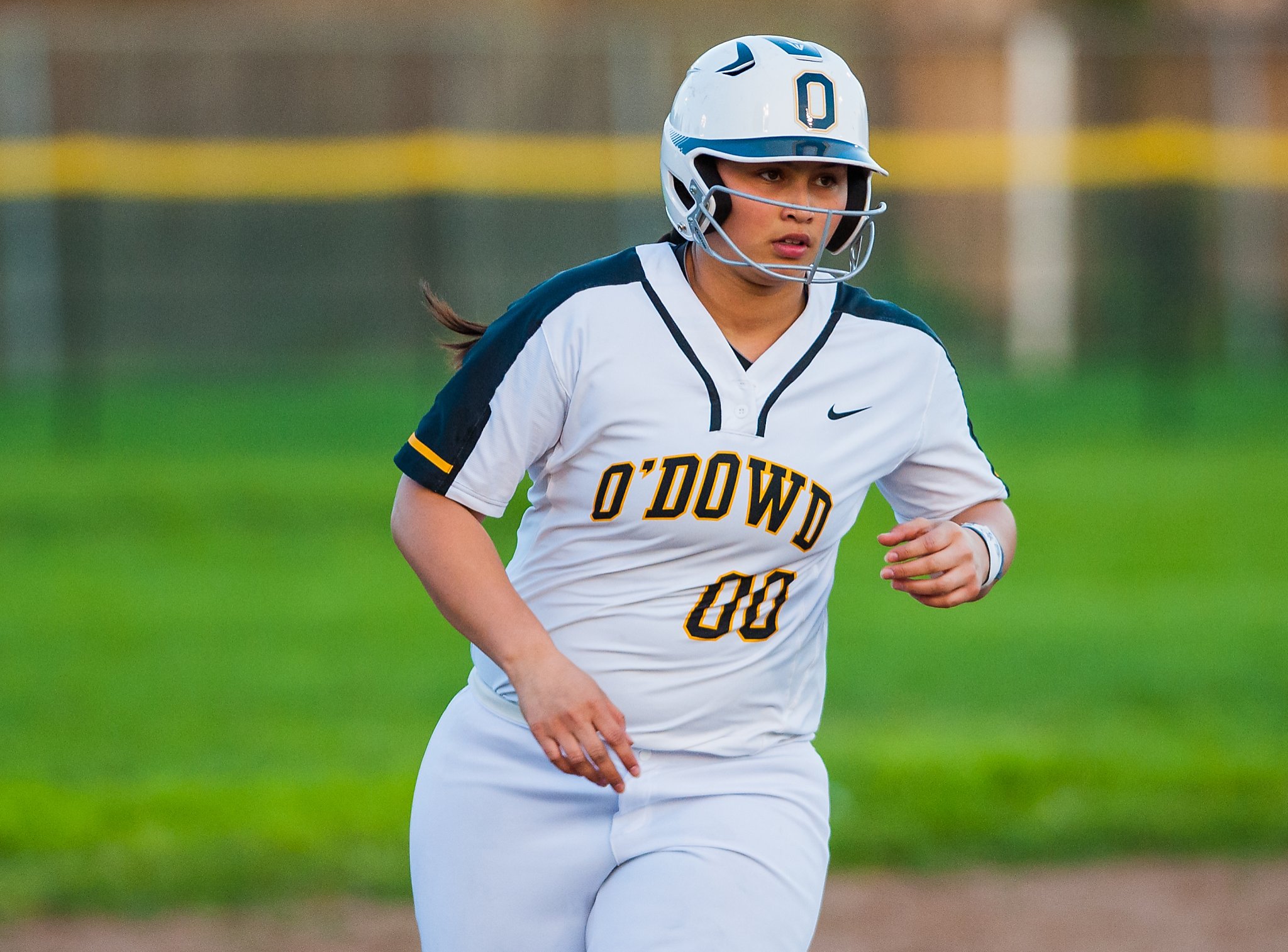 Softball Regional Players Of The Year