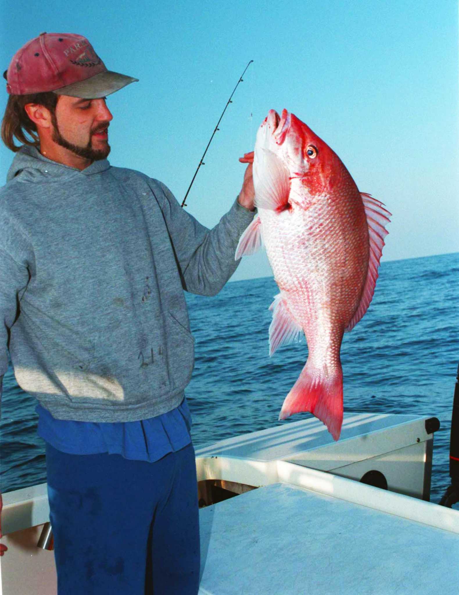 Northern Red Snapper - Oceana