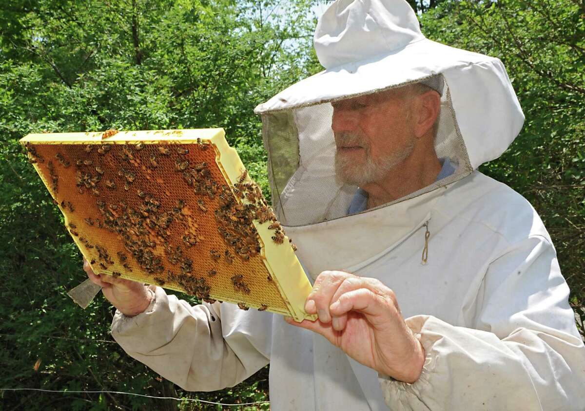 Beekeeper Stephen Wilson checks the bees on a frame in one of his beehives in his back yard on Thursday, May 28, 2015 in Altamont, N.Y. (Lori Van Buren / Times Union)