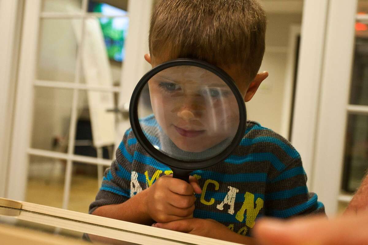 A child is intrigued by moths on display at the Trinity River National Wildlife Refuge in Liberty for a past Moth Night Out event. This year’s event is on July 21.