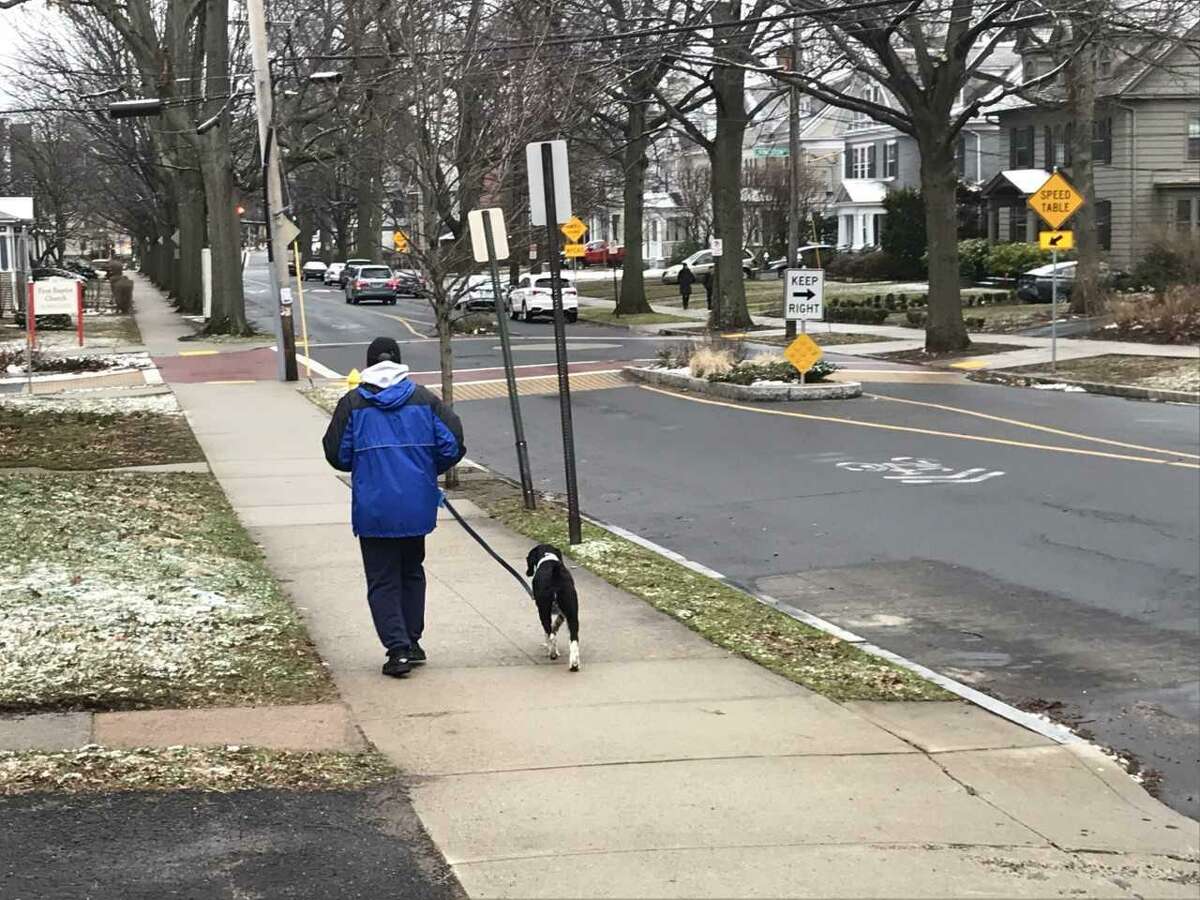 A man walks his dog in East Rock.