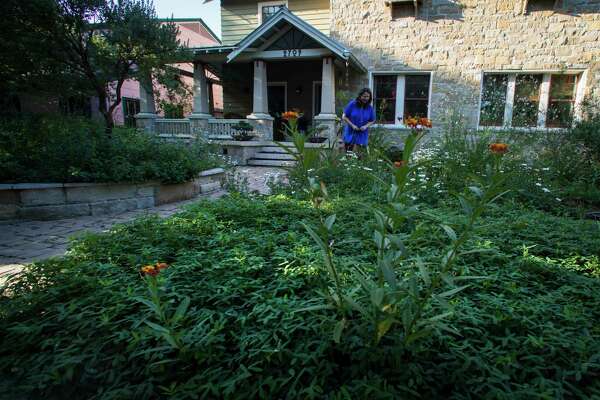 This sustainable garden in West U puts Houston's rain to work
