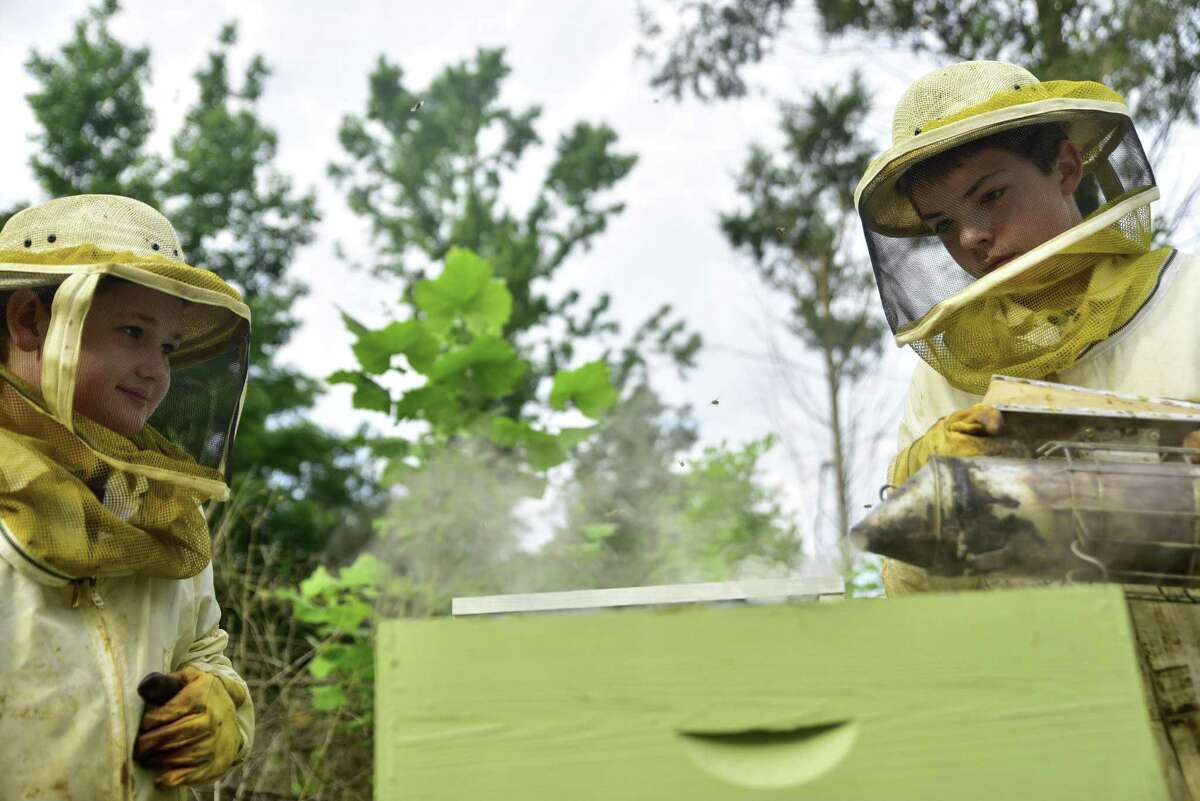 Beekeeping can be fun for kids, with the right precautions.