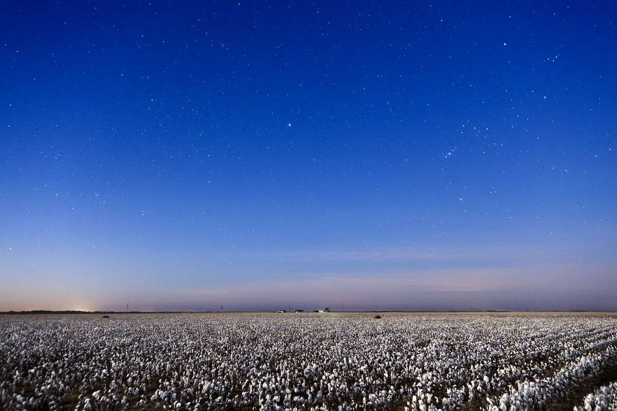 “Stars and Cotton” from “As Far As You Can See,” by Texas photographer Kenny Braun