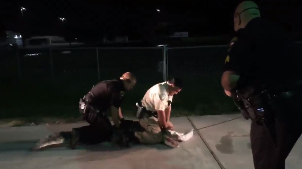 Police, game warden capture 8-foot alligator in South Texas Walmart ...