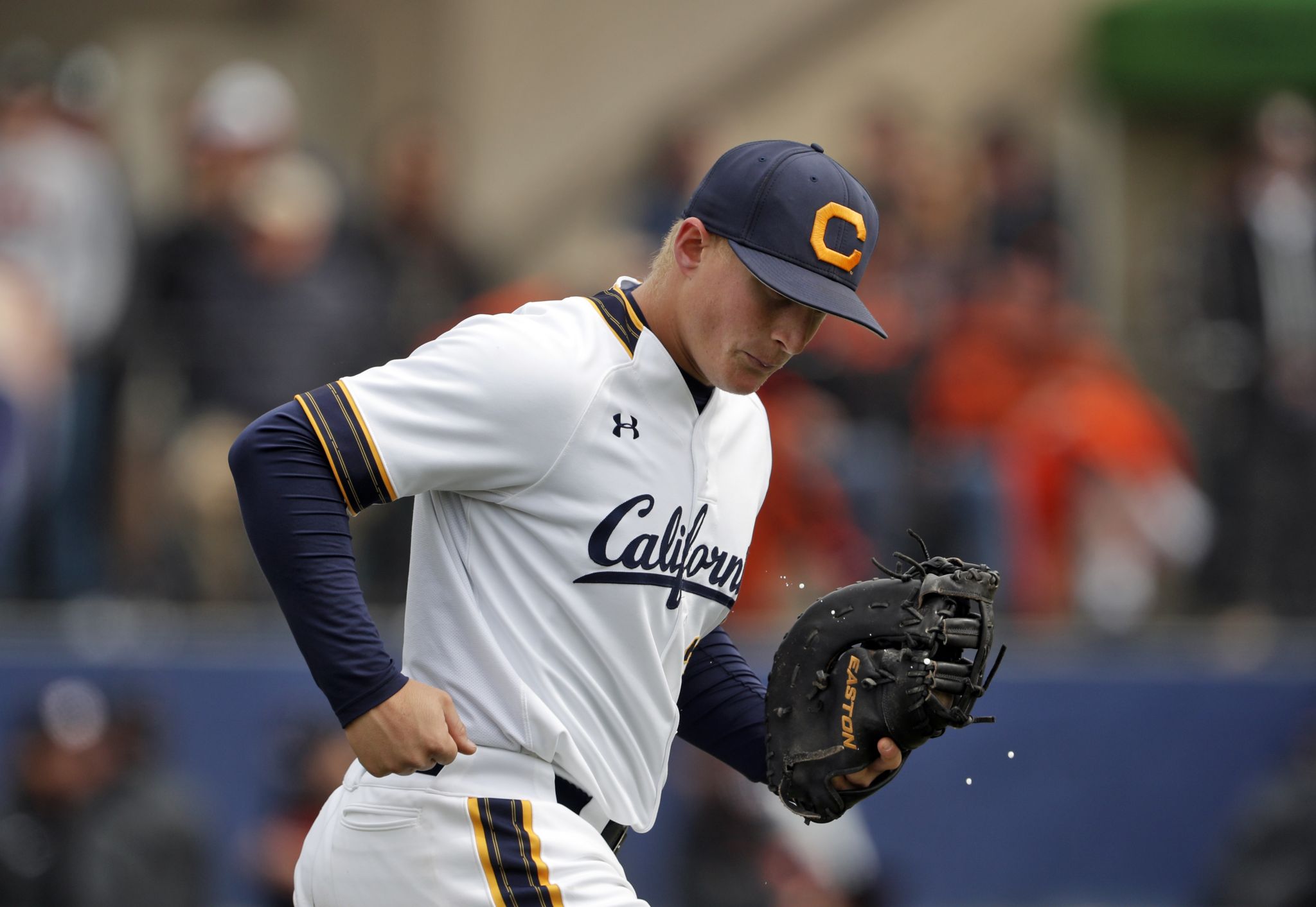 Andrew Vaughn Wins Golden Spikes Award - California Golden Bears