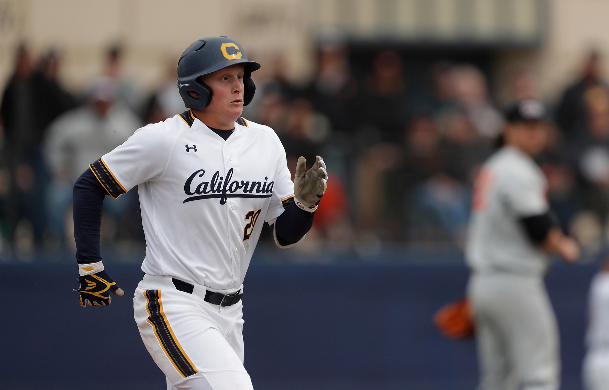 Cal Berkeley's Vaughn, Of Santa Rosa, Is College Baseball's Best