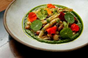 Sorrel off to a stellar start in Pacific Heights