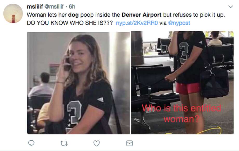 Image result for images of  dog pooping at airport