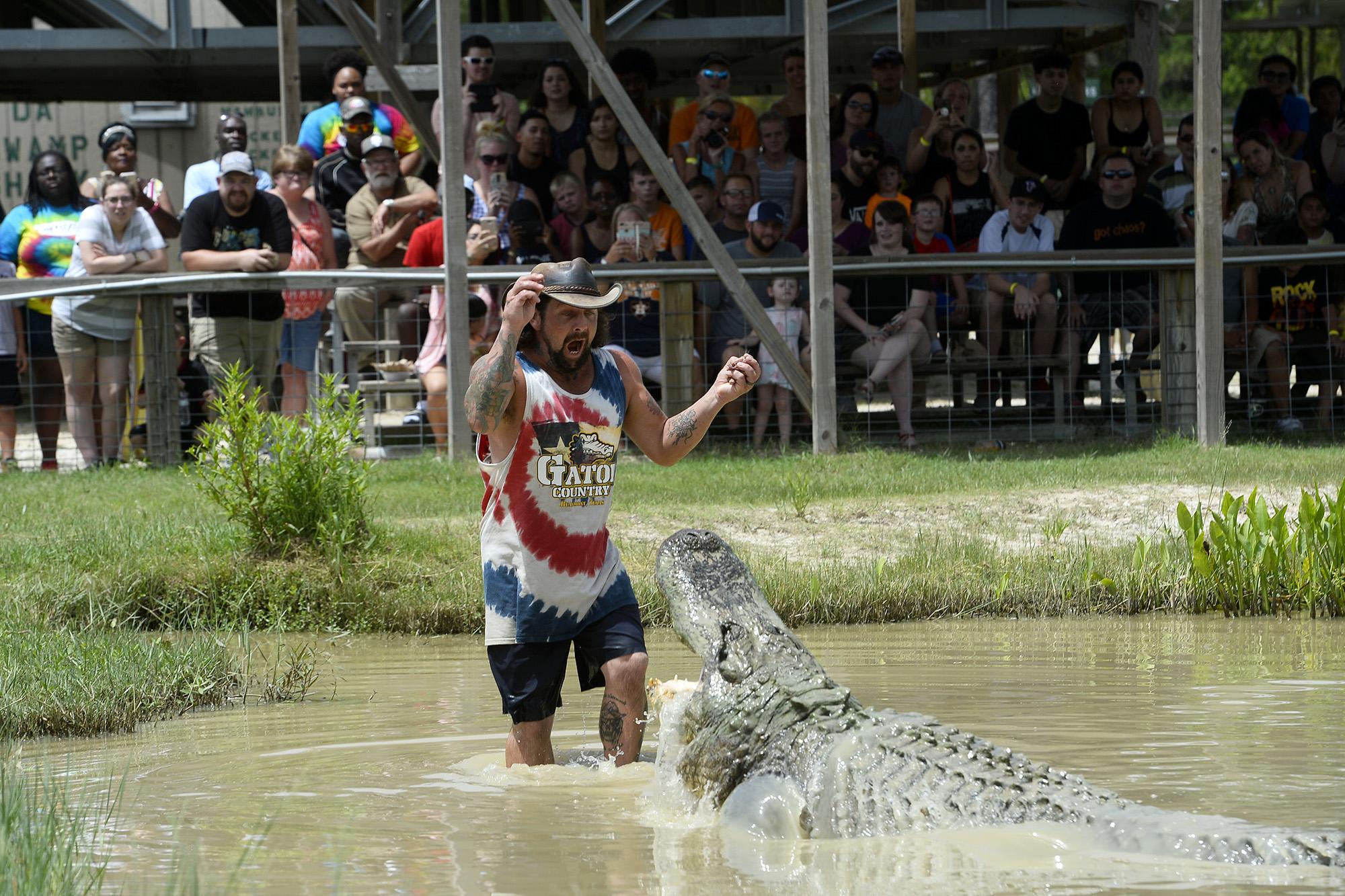 Photos Gator Country celebrates Big Al s birthday