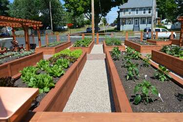 10th Grow Your Own Community Garden Opens In Derby New - 