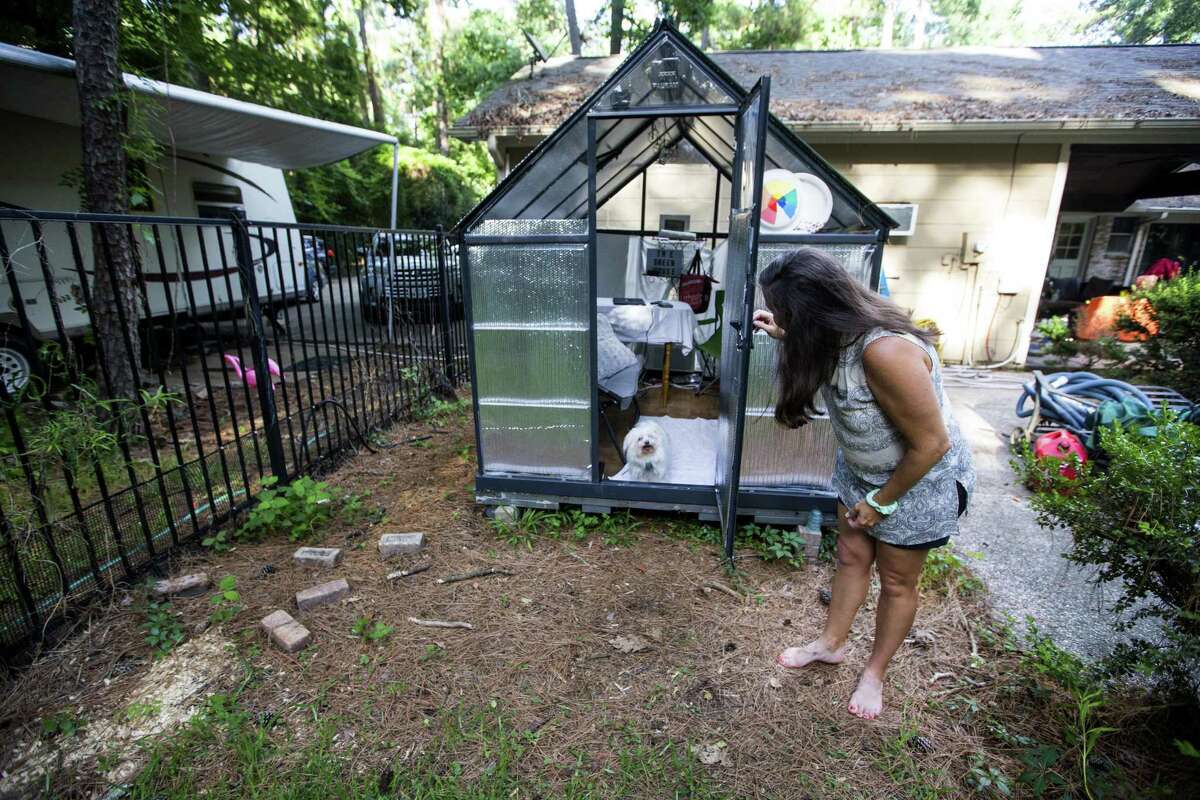 Amy Slaughter lets her dog out of a greenhouse that she has converted into an office, outside her flood-damaged home, on Thursday, June 28, 2018, in Kingwood. The Slaughter family is in favor of a project to dredge a large sandbar in the San Jacinto River, to help alleviate flooding in Kingwood. They are still recovering from the floodwaters from Hurricane Harvey, where they had 52 inches of water inside their home.