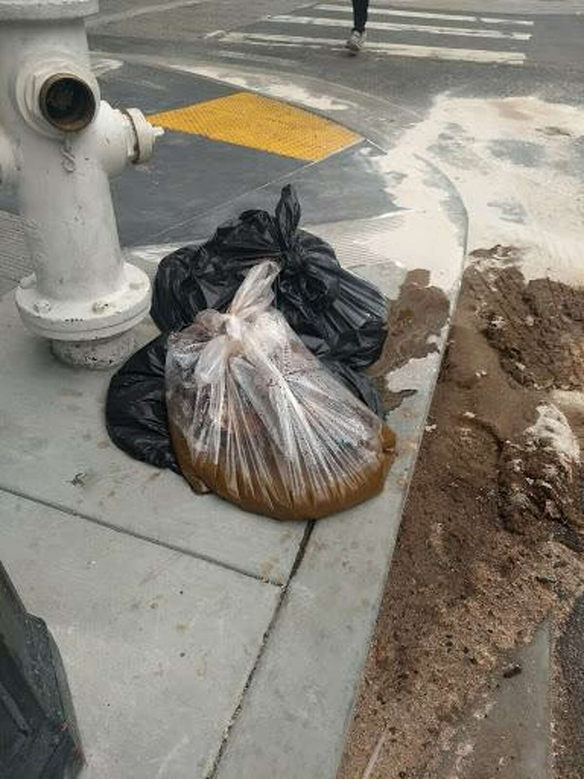 Human waste on the corner of Polk and Cedar streets on June 30, 2018.
