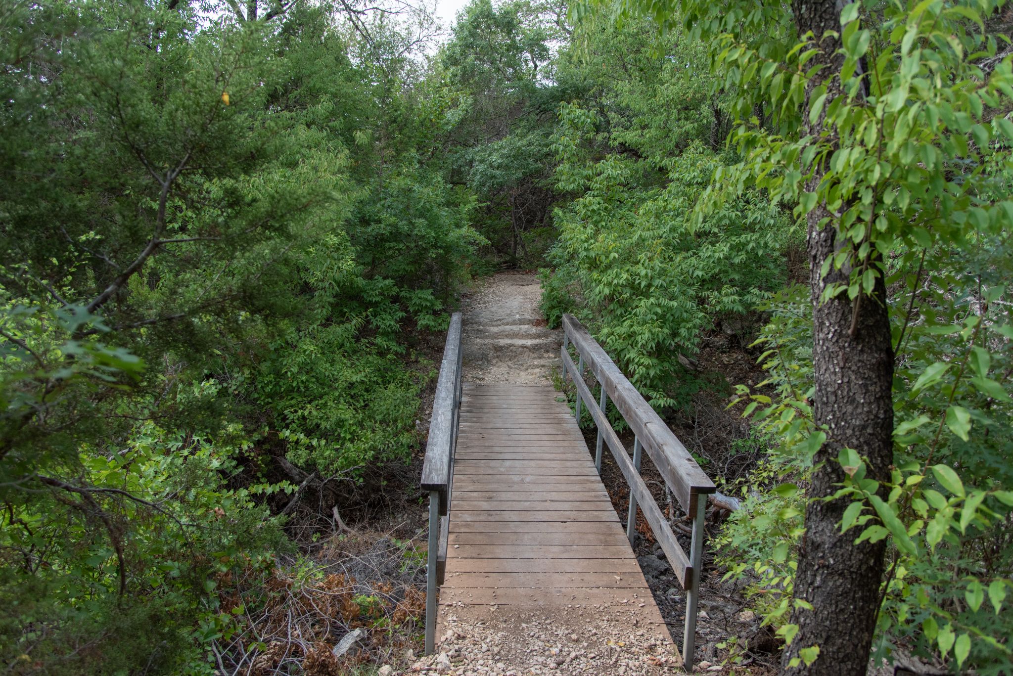 Top 10 spots for hiking trails in San Antonio - RawImage
