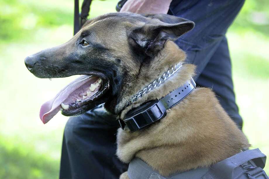 GPS collars keep police dogs on track 