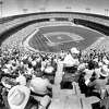 Going back decades, ballpark vendors share tales from the aisles