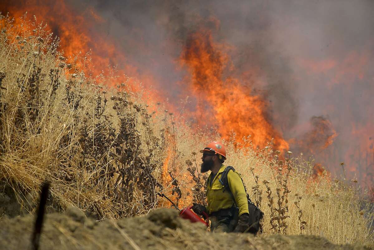 Hot Shot crews from Mendocino use backfires to help contain the County Fire along Highway 129 near Lake Berryessa in Yolo County, California, Tuesday, July 3, 2018. 