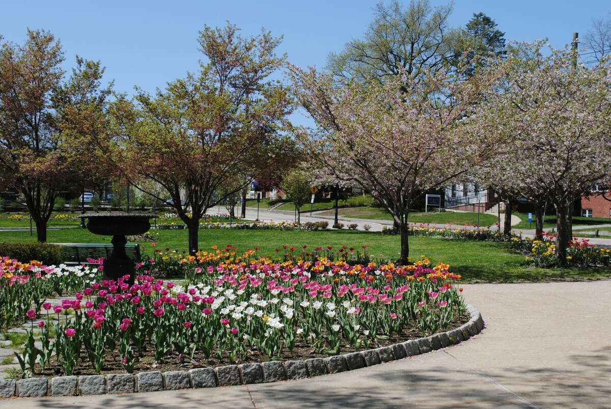 Torrington's Summer Concert Series 2018