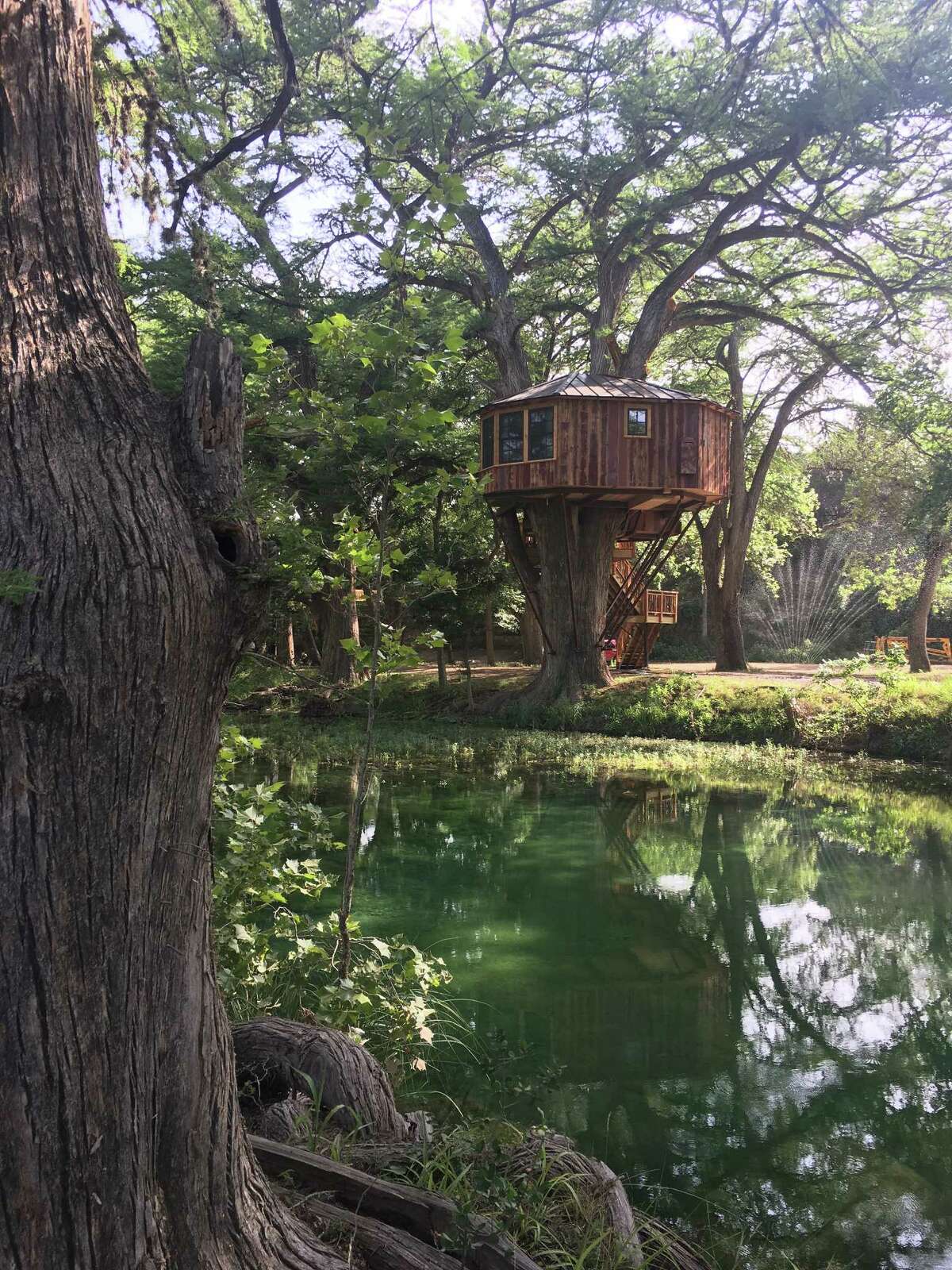 Treehouse Utopia B&B offers the chance to sleep in the Texas Hill