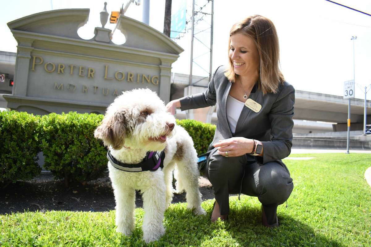 Penelope "Speranza" Dear, a Lagotta Romagnolo, is the first funeral home support dog in San Antonio, according to Porter Loring Mortuaries, where Penelope will be working. She is shown here with her primary care giver Helen Loring Dear, president of Porter Loring Mortuaries. (Courtesy of Porter Loring Mortuaries).