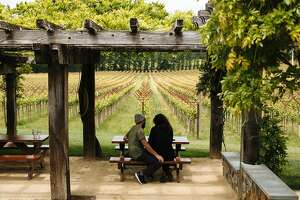 Mendocino County: California's hidden wine gem (The Press) - Photo