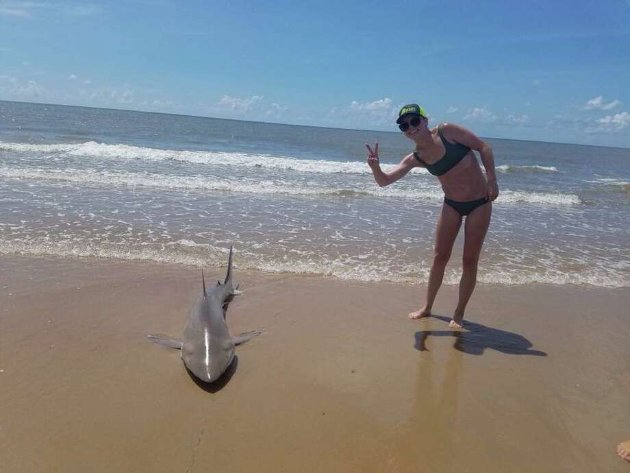 Sizable Shark Caught Off Beach Along Surfside Houston Chronicle Lauren Gers From The Austin Area Reeled In 6 To 7
