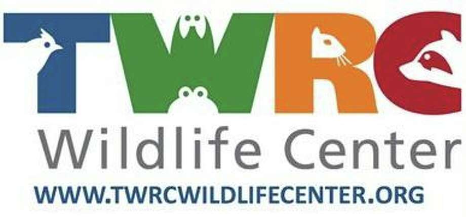 wildlife-rescue-rehabilitation-inc-youtube