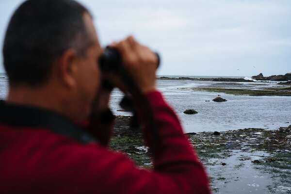 5 places to spot birds in Half Moon Bay - SFChronicle.com