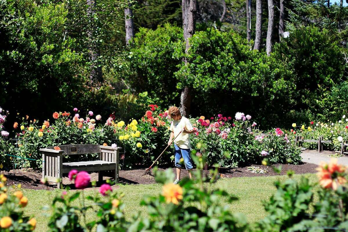 The Mendocino Coast Botanical Gardens