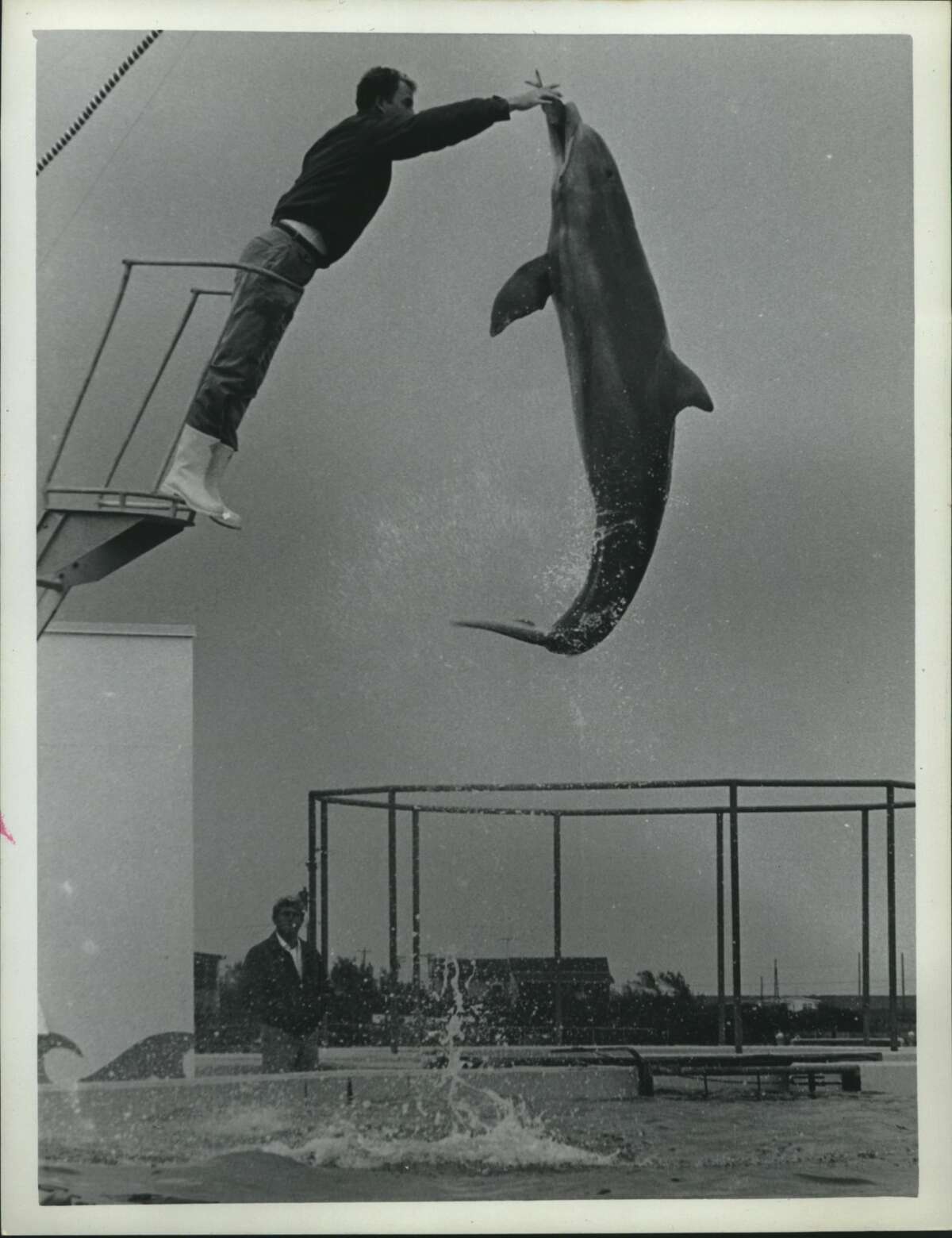 SeaArama in Galveston was an island attraction for decades