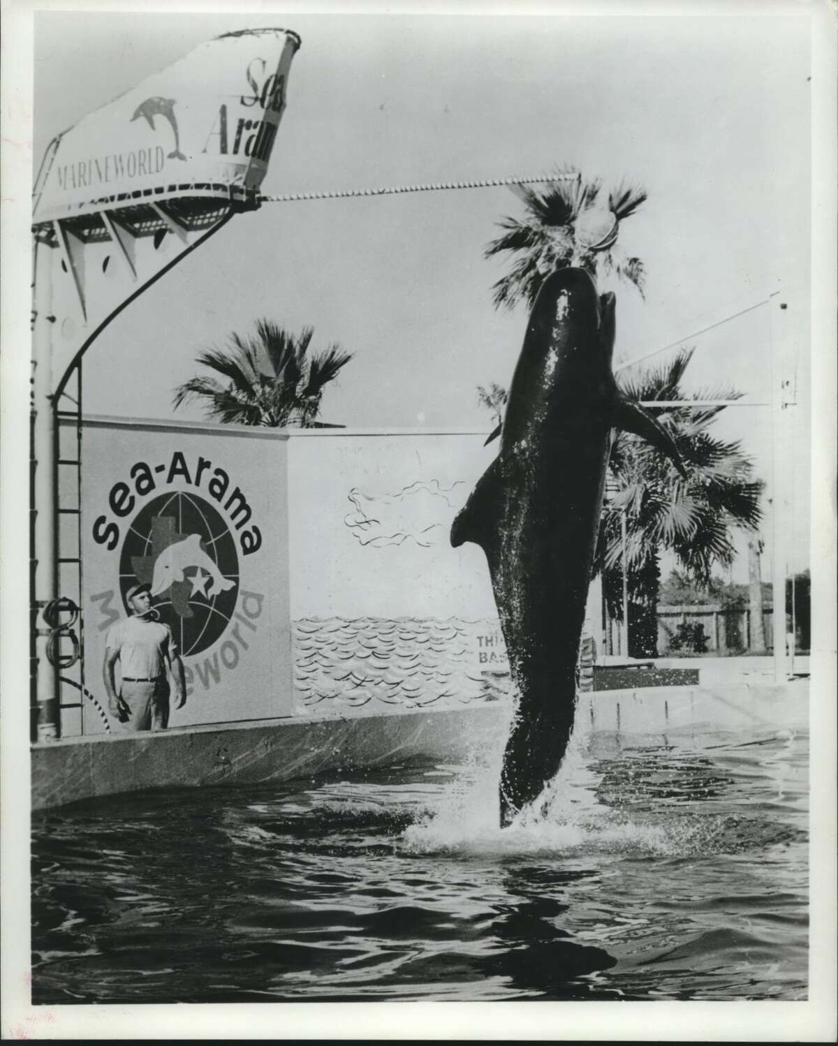 SeaArama in Galveston was an island attraction for decades