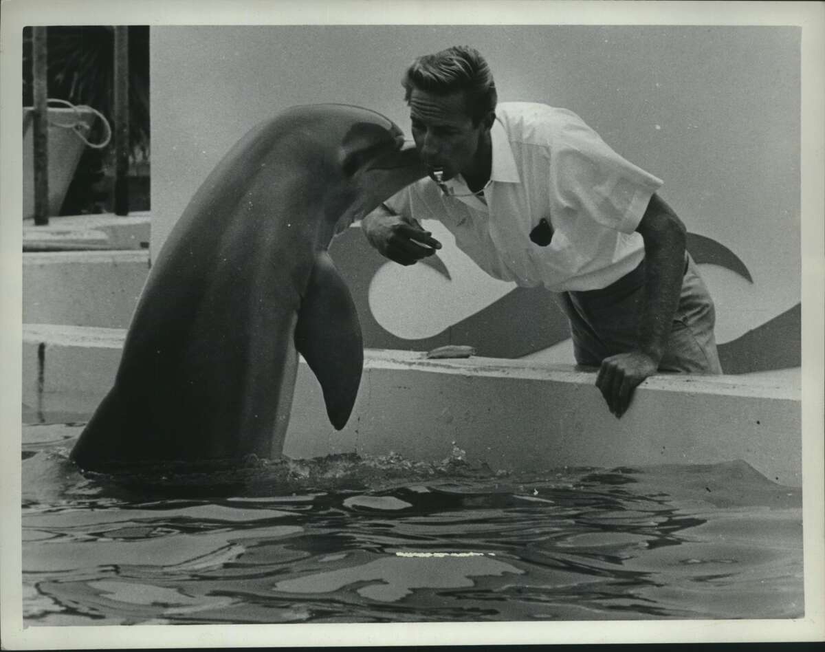 SeaArama in Galveston was an island attraction for decades