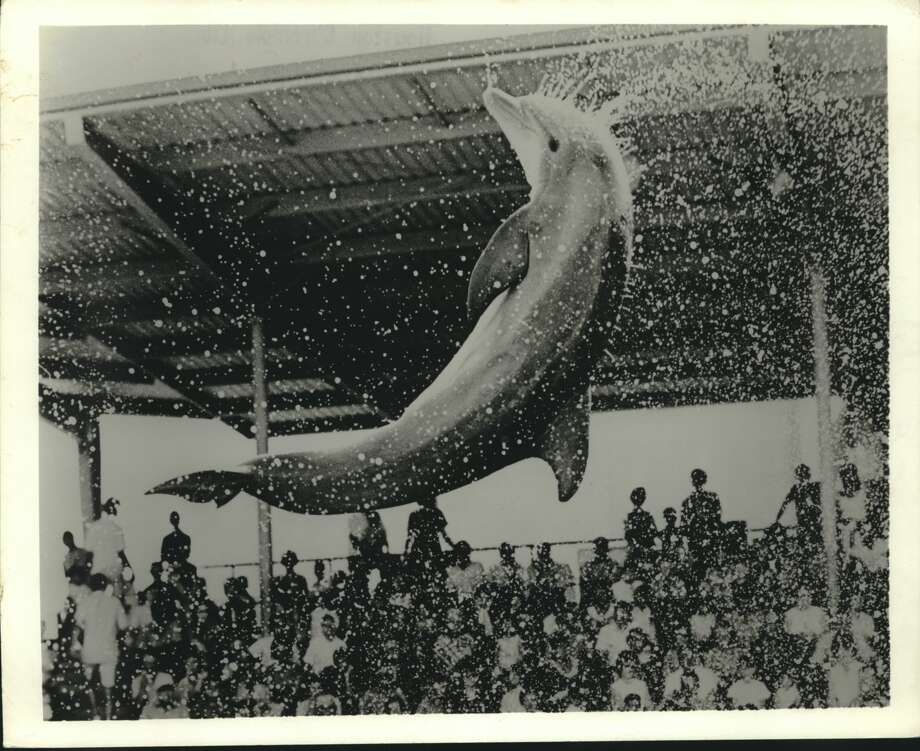 SeaArama in Galveston was an island attraction for decades Houston