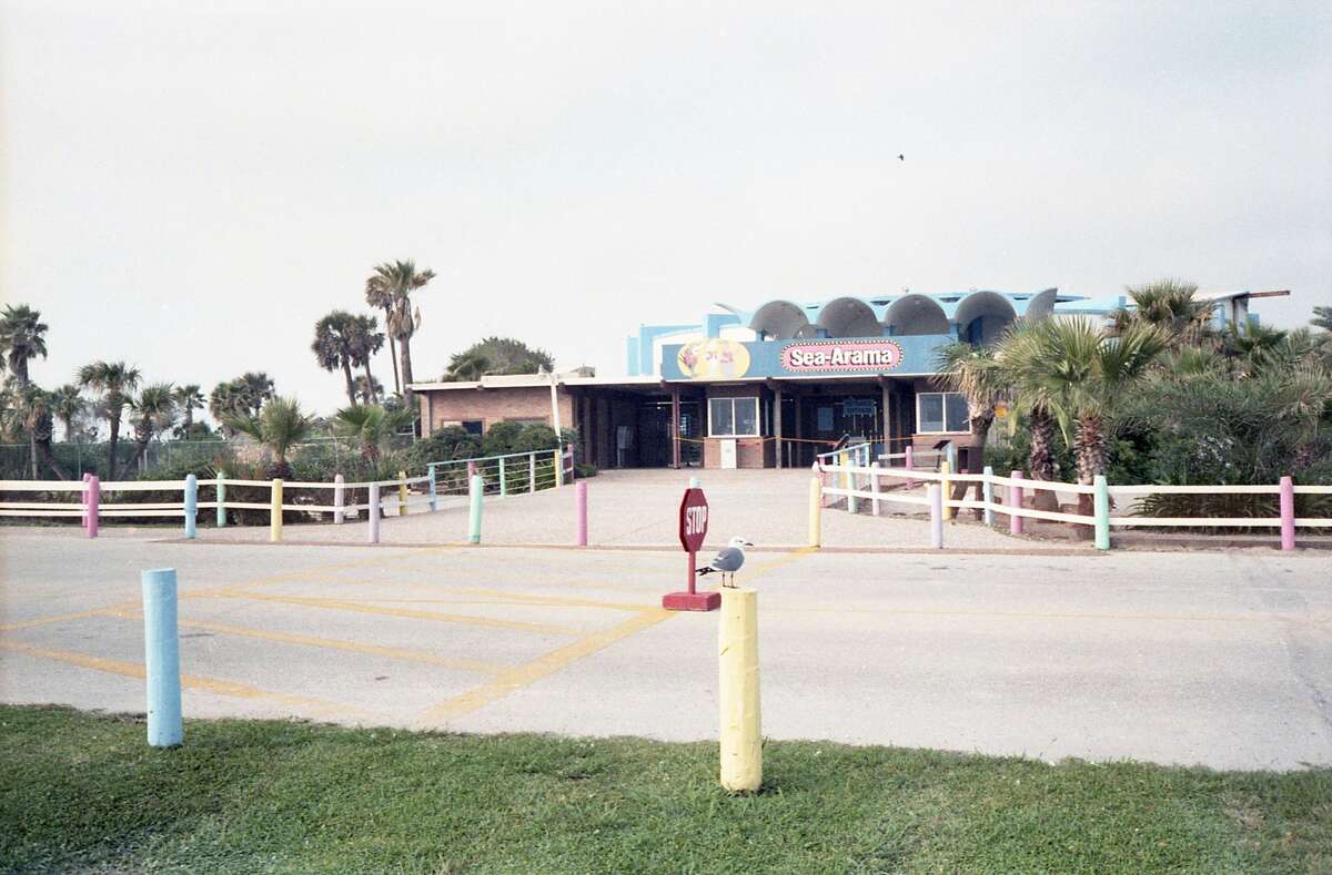SeaArama in Galveston was an island attraction for decades
